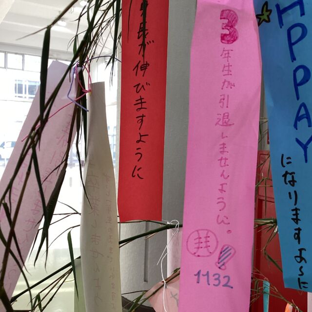 今日は七夕です。
みなさんはなにか願い事をしましたか？

福島高校では、文化委員が準備してくれた笹の木に、生徒たちがそれぞれ願いを込めた短冊を結んでいます。

みんなの願いが叶いますように。

#FUKUSHIMA2026
#福岡県立福島高等学校